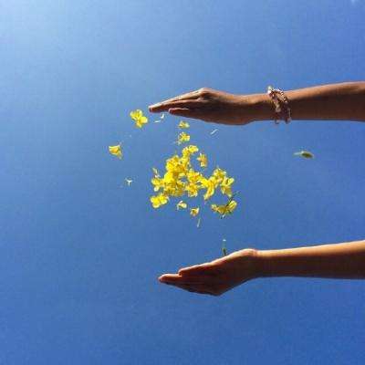 kok中欧登录入口app下载